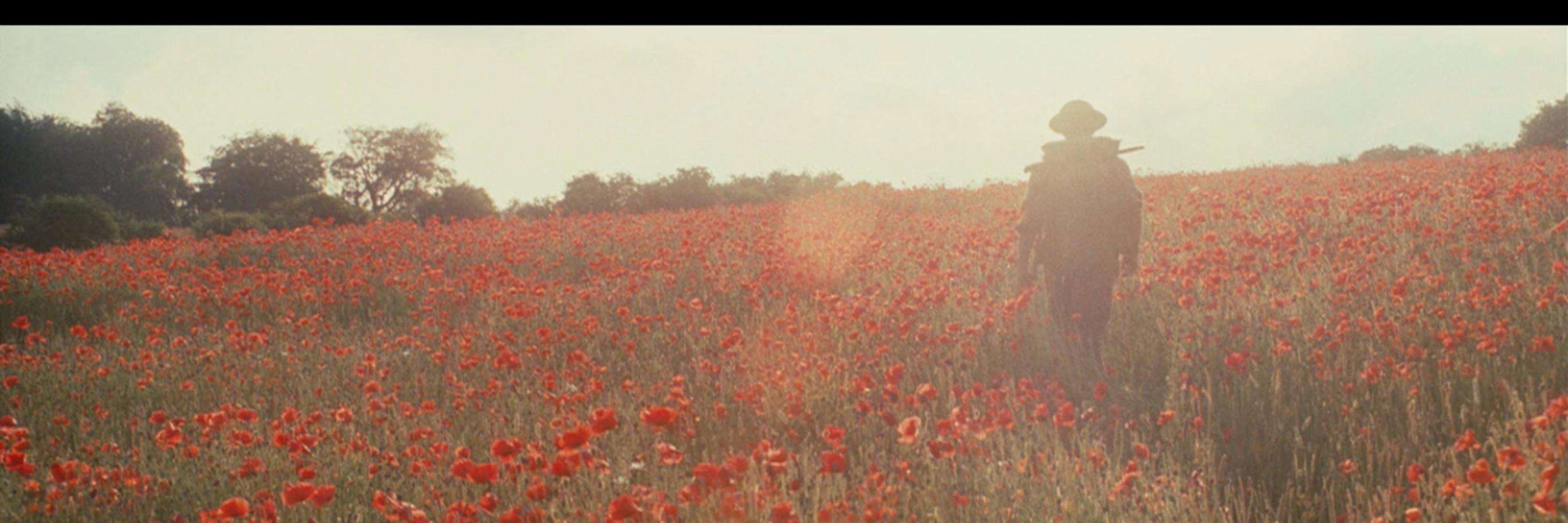 zy_chobits's profile banner image