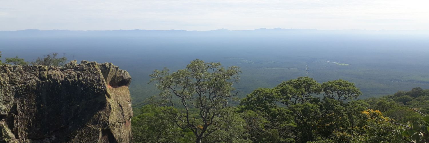 Anahí Ocampo banner