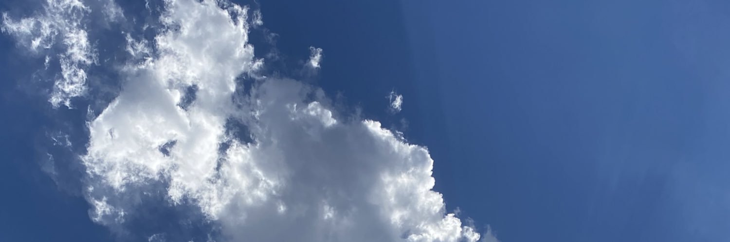 costco_DP's profile banner image