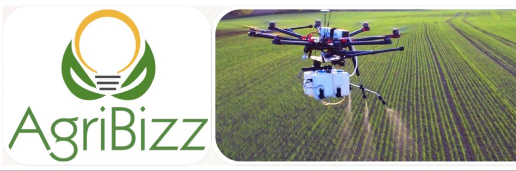 Jasmin Choake banner