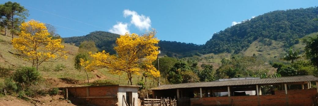 maicvasconcelos's profile banner image