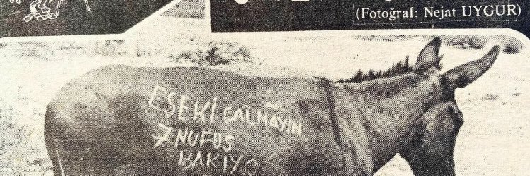 sampox77's profile banner image