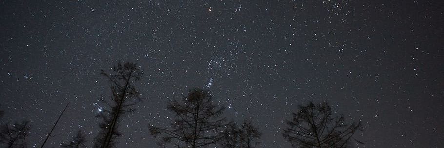 AgentDreamer_'s profile banner image