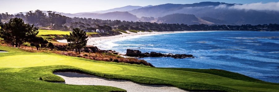 Tricia Schumann Rakusin banner