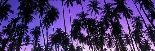 Marcus1396's profile banner image