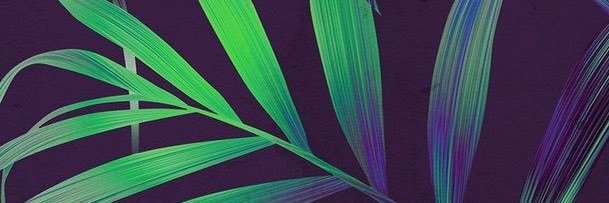 miaesg's profile banner image