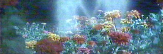 worIdnet's profile banner image