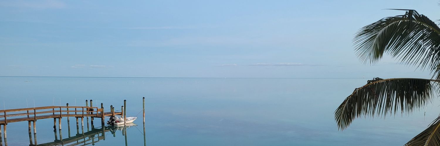 BurntSurfer's profile banner image
