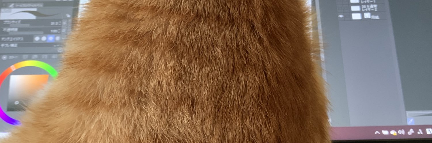 sapota_clone's profile banner image