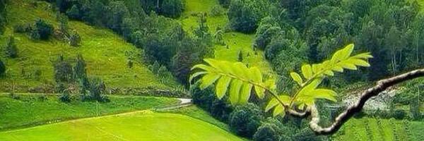 s_ultan_alnaser's profile banner image
