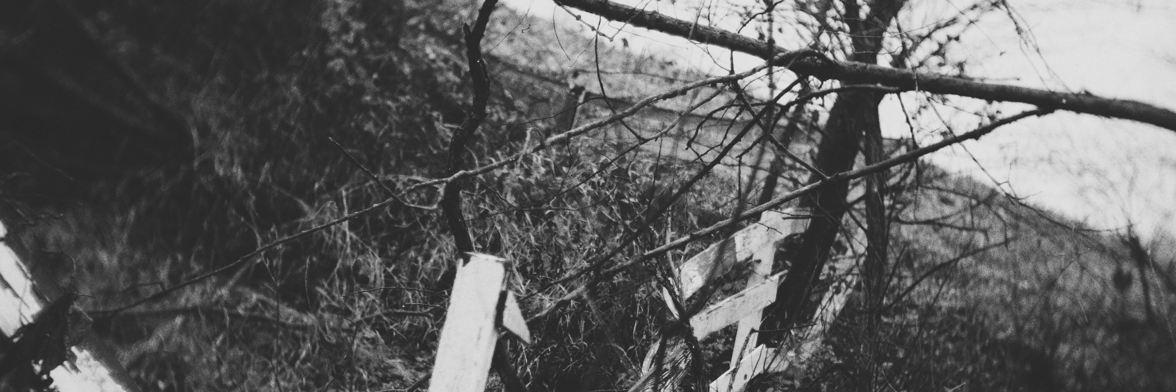drabist's profile banner image
