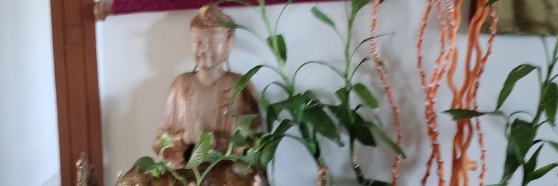 anitakanwal24's profile banner image