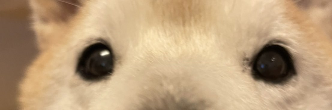 __rbn_'s profile banner image