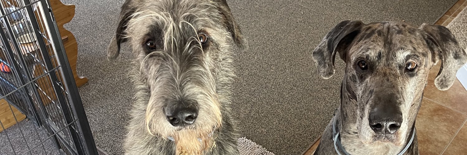 John Misiewicz banner