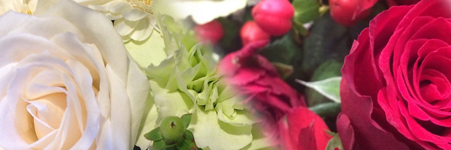 後藤 瑠美 banner