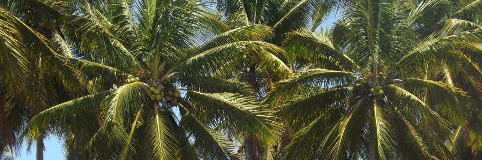 itzelfernanda3's profile banner image