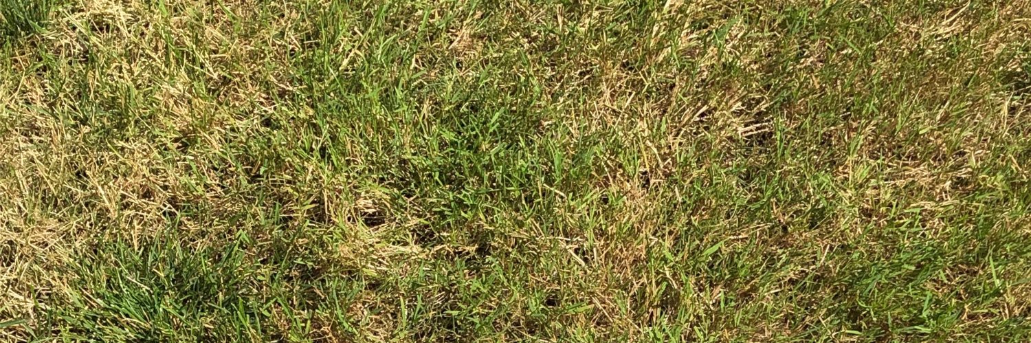 dopaminejonz's profile banner image