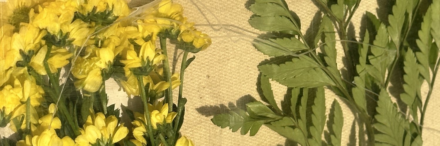 FaresRock11's profile banner image