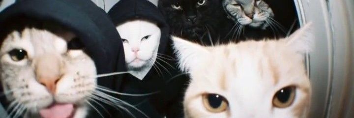 mrsdalla's profile banner image