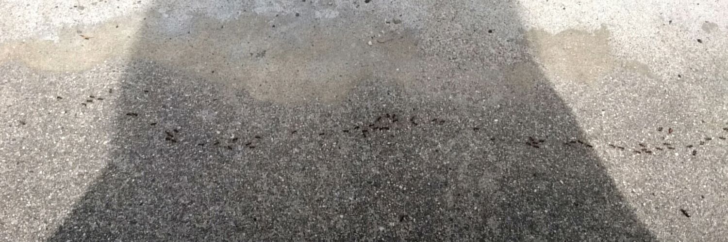 ririfc2live's profile banner image