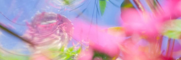 RIOVNNE's profile banner image