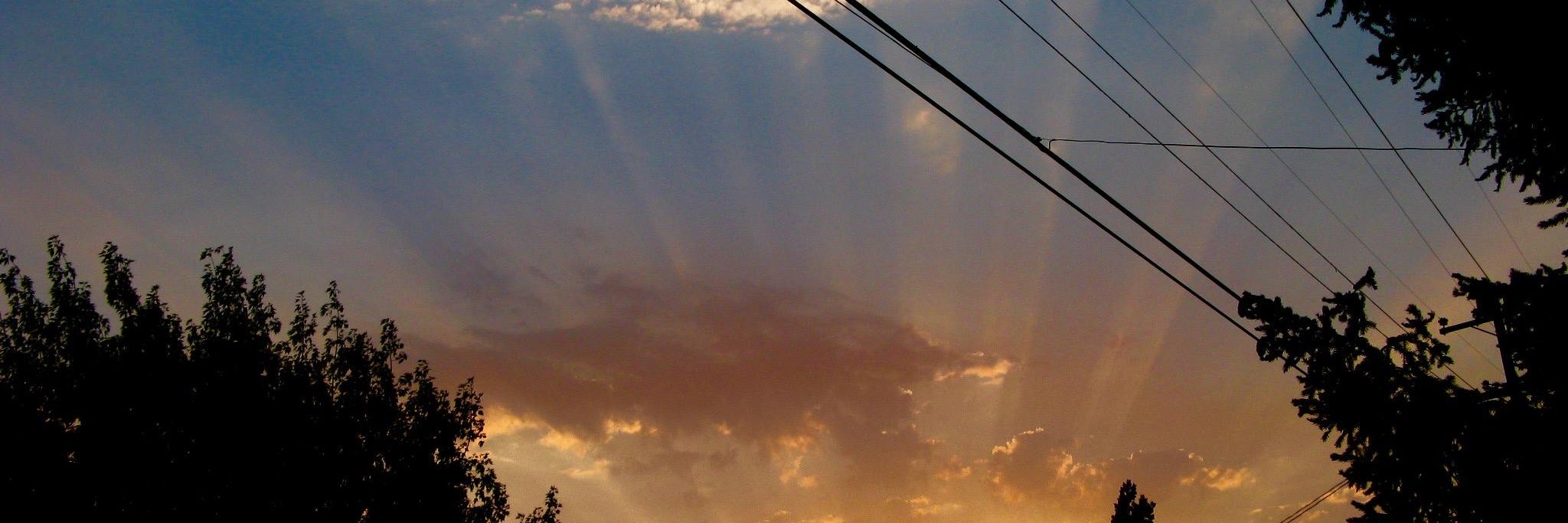 Anneke99911's profile banner image