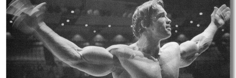 adam mclaughlin banner