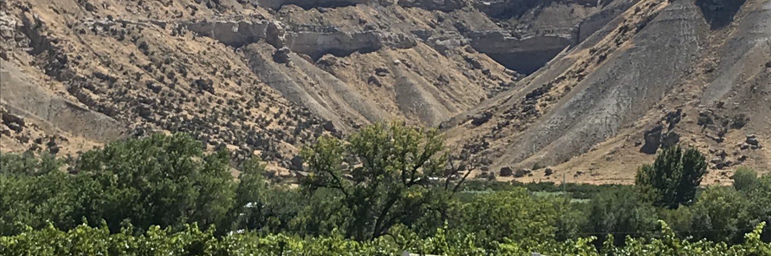 TanyD's profile banner image