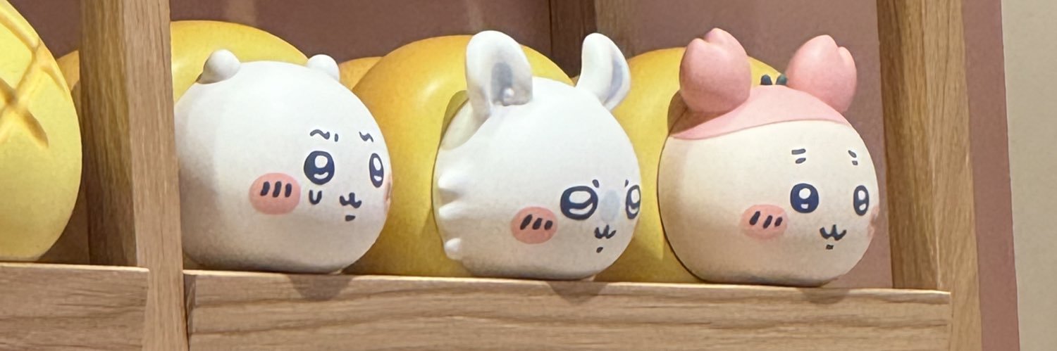 ank0401's profile banner image