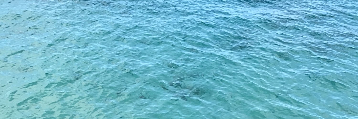 SummmerTimeFyne's profile banner image
