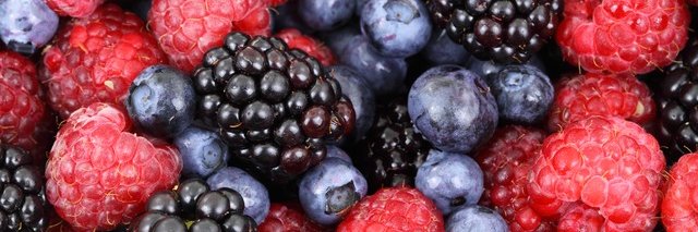 Rachel Scrivin banner