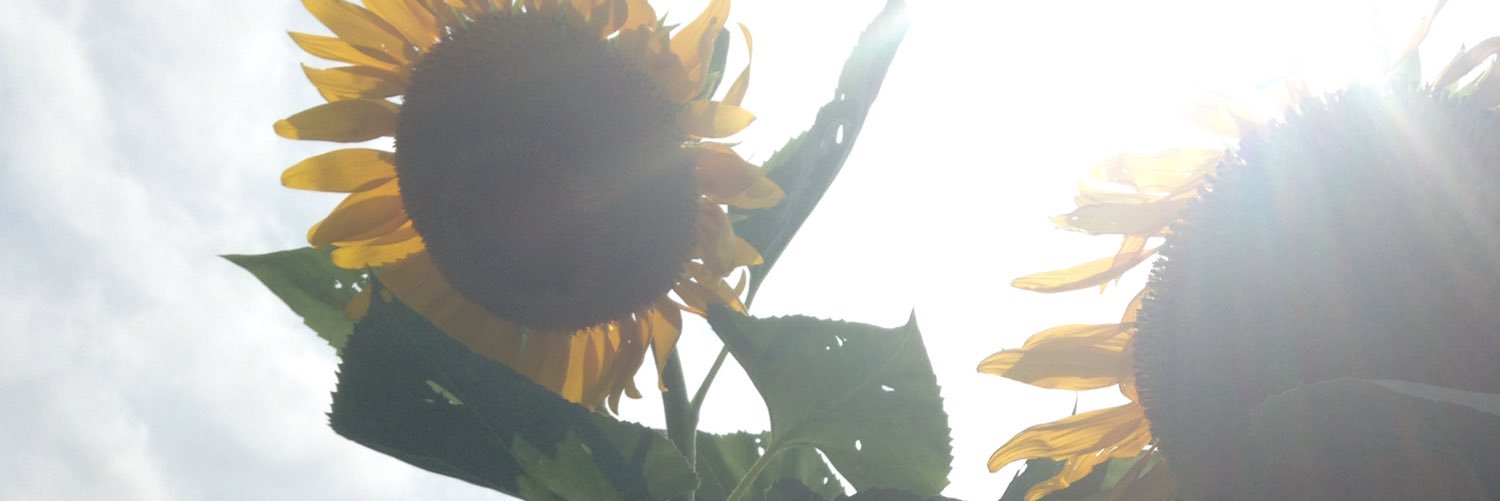 ali_gregs's profile banner image
