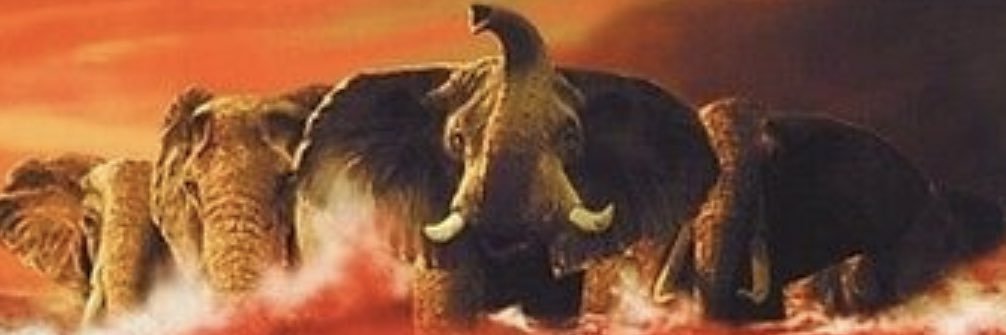 a3smom's profile banner image