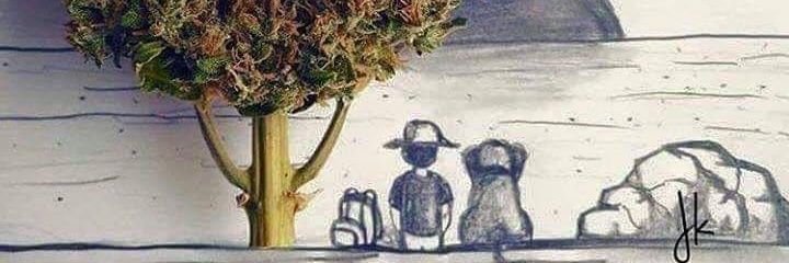 danE710's profile banner image