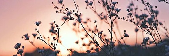 effy_bones's profile banner image