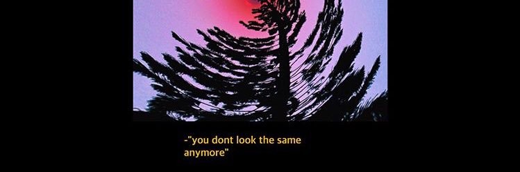 ylideczaid's profile banner image