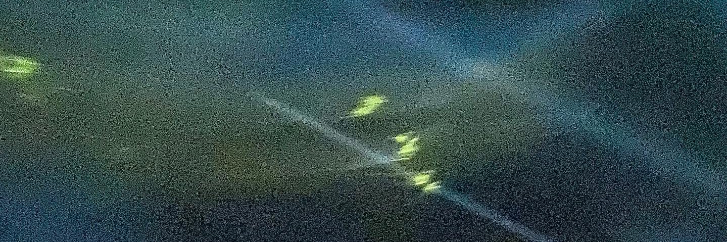 emmiepederson's profile banner image