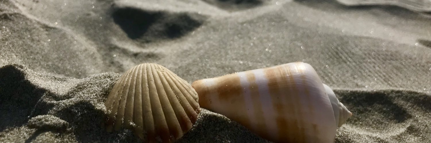 micheller1024's profile banner image