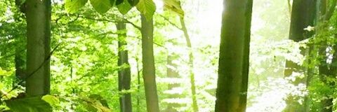 YGatson's profile banner image