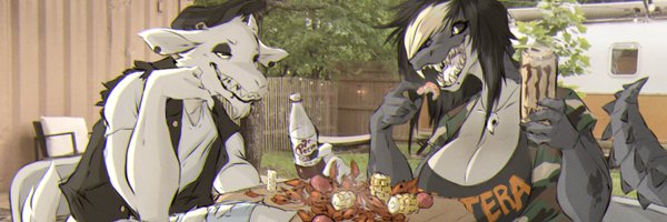 DullVivid Profile Banner