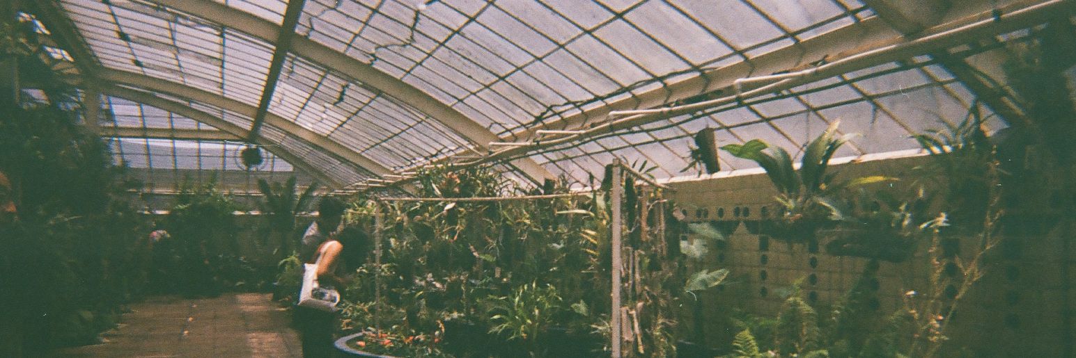 sxnrm's profile banner image
