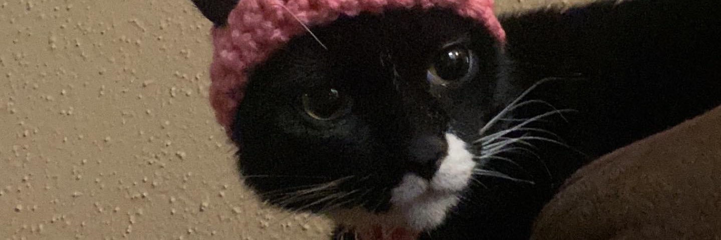 moarspongebob_'s profile banner image
