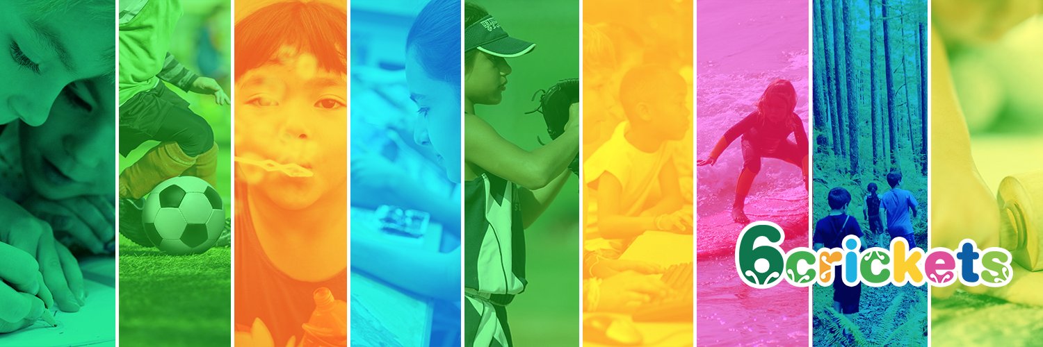6crickets's profile banner image