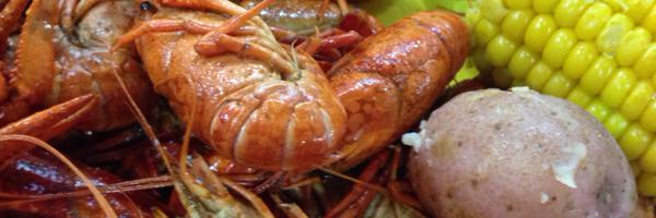 LAHFMA Profile Banner