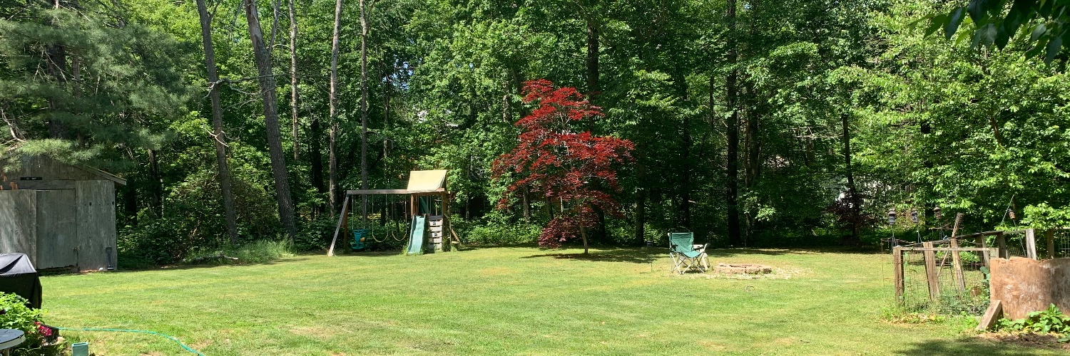 Stephen Readey banner