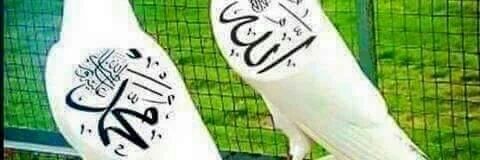fahd55015's profile banner image