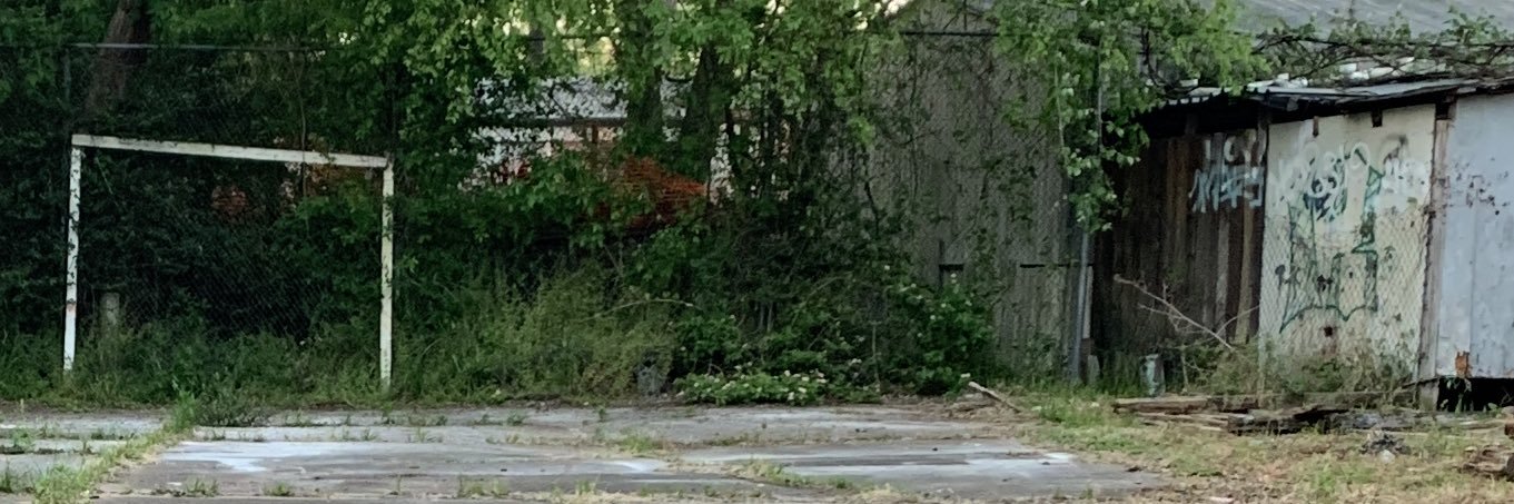 5600 banner