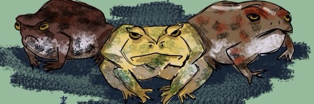 Quiara's profile banner image