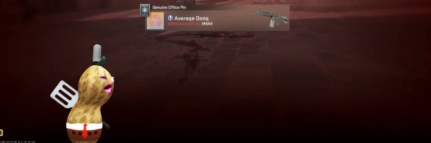 AverageDong1's profile banner image