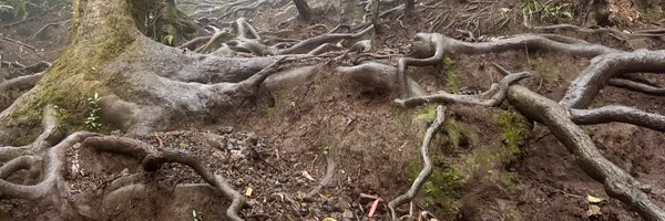 creamiyours Profile Banner